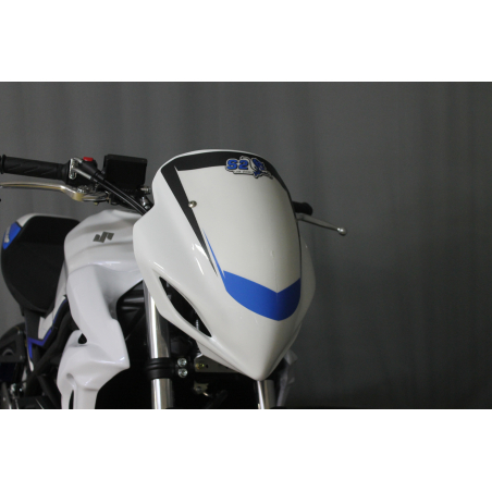 Suzuki SV650 racing fork fairing - 1