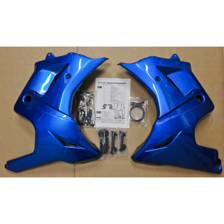 SV650S Lower fairing - 9