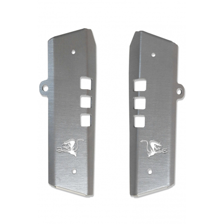 Ecope radiateur XSR 700 - 4