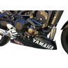 Yamaha MT09 Roadster Cup racing engine spoiler