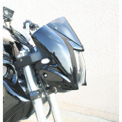 Kawasaki VERSYS Headlight fairing - 1
