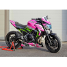 Kit déco racing spécial Kawasaki Z650