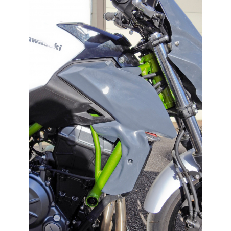 Ecopes racing pour Z650 - 2