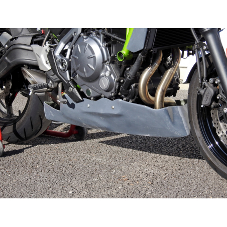 Z650 Racing bellypan - 3