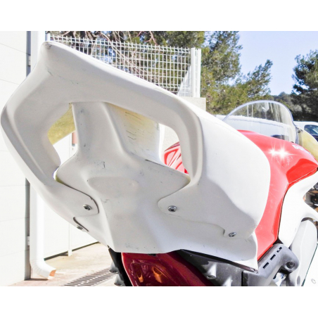 DUCATI Panigale V4 / V4R / V4S Racing undertail - 1
