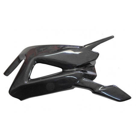 MV Agusta F3/B3 (2012-2019) Carbon Swingarm cover - 1