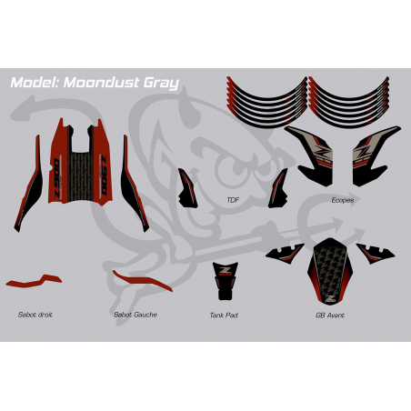 Kawasaki Z900 2019 Factory Special Edition decals set - 3