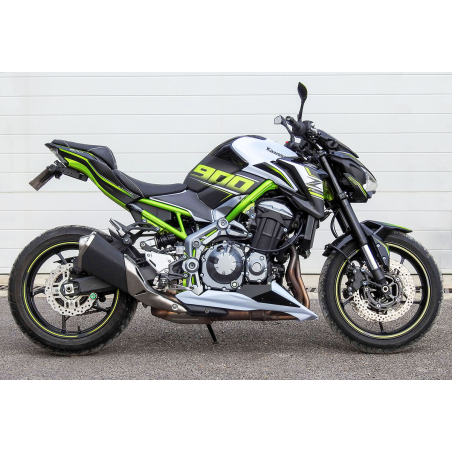 Kawasaki Z900 2019 Factory Special Edition decals set - 7
