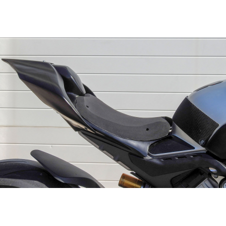 DUCATI Panigale V4R complete fairing set - 11