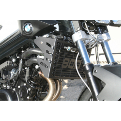 Grille Radiateur F800R - 2