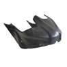 Little Fiberglass Racing Fuel Tank Cover for Motorcycle Competition BMW S1000R 2019