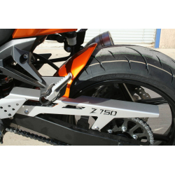 Z750 PEINT - 1