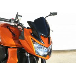 Obturateurs de clignotants avant pour Kawasaki Z750 - 2
