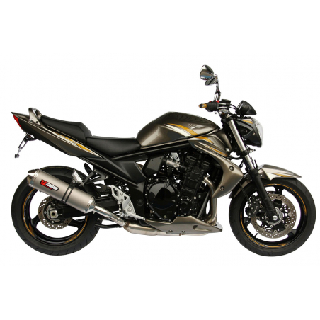 Support de plaque BANDIT 1250 - 10