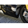 SABOT DUCATI STREETFIGTER V4 2020-21