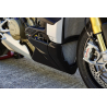 SABOT DUCATI STREETFIGTER V4 2020-21