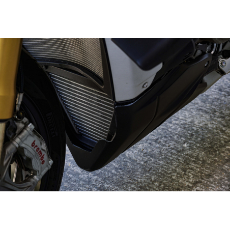 SABOT DUCATI STREETFIGTER V4 2020-21